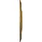 Ekena Millwork Raynor Ceiling Medallion (Fits Canopies up to 6"), Hand-Painted Gold, 20 5/8"OD x 1 3/8"P CM20BEGLS - alternate 3
